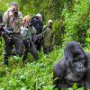 5 Tips to Make the Most of your Gorilla Trek