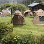 Camping in Mgahinga